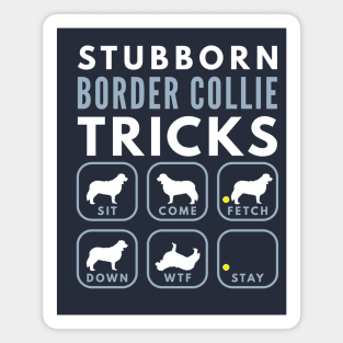 Stubborn Border Collie Tricks - Dog Training Magnet